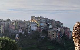 Da Bareu